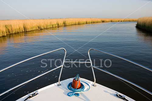 Bow of a boat on a reed lined river