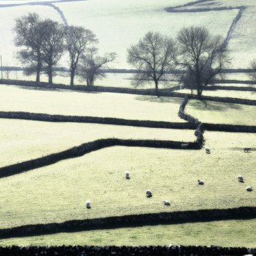 Field patterns on a frosty morning in the Peak District