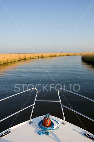 Bow of a boat on a reed lined river
