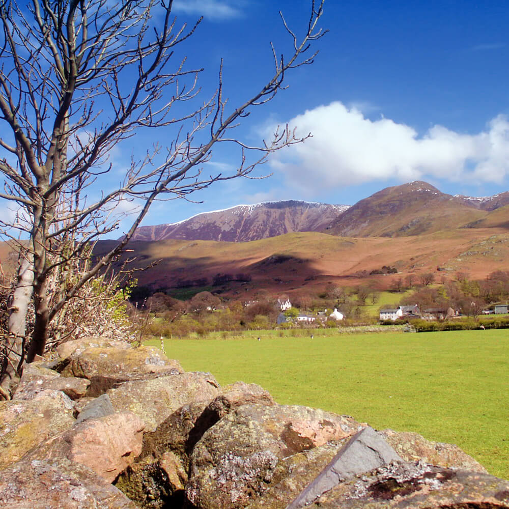 Peter Cox Photography